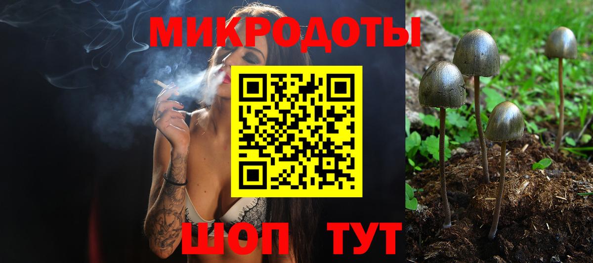 Псилоцибиновые грибы Cubensis Кингисепп