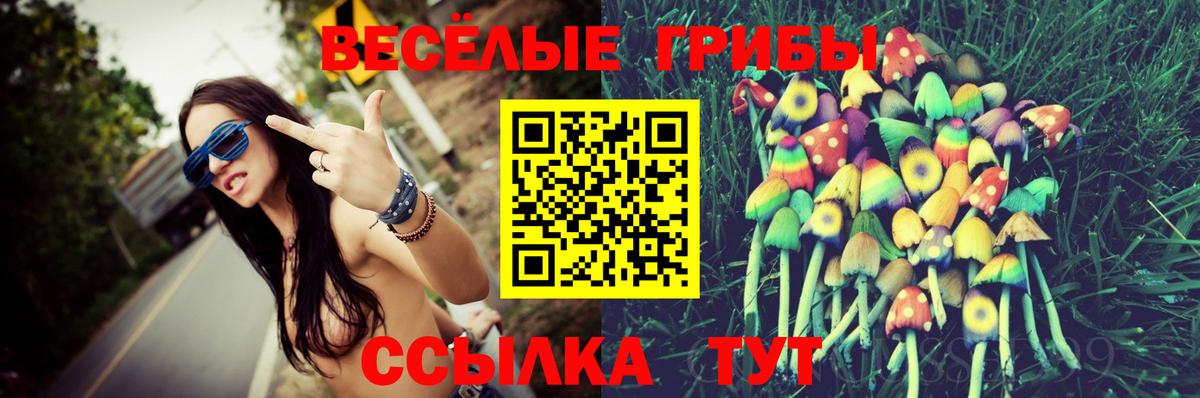 Кингисепп  Псилоцибиновые грибы Psilocybine cubensis  Вход с VPN 